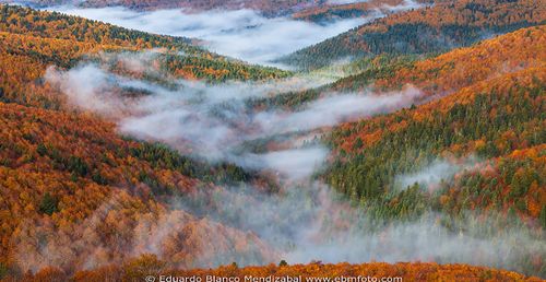 SORTIDA CAP DE SETMANA, SELVA DE IRATI (NAVARRA)